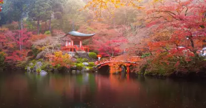 Croisière Japon