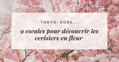 Tokyo, Kobe,...9 escales pour découvrir les cerisiers en fleurs
