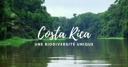 Faune et flore du Costa Rica