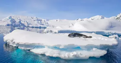 Découvrez l´Antarctique, sublime continent blanc