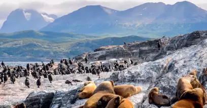 Votre croisière en Patagonie : les 10 temps forts de votre voyage