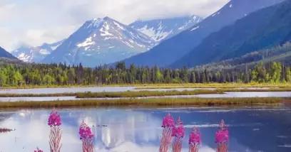 10 raisons de découvrir l’Alaska en croisière