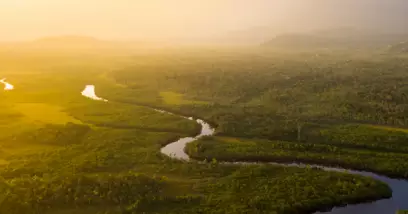Fleuve Amazone : méandres et escales lors d'une croisière en Amazonie