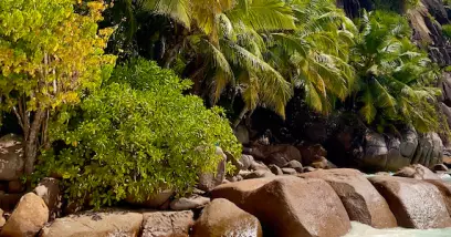 Escale à l'Île Mahé aux Seychelles