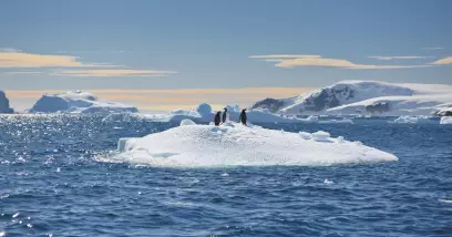 Comment se rendre en Antarctique ?