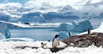 Cap sur l'Antarctique : les explorateurs du pôle Sud