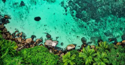Plongée aux Seychelles : le Top 7 des meilleurs sites