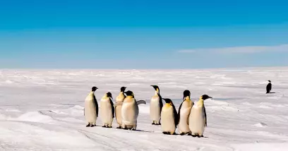 10 chiffres sur l’Antarctique (habitants, altitude, températures...)
