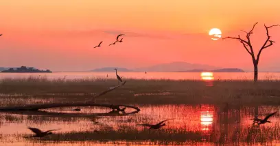 Découvrez le Lac Kariba : Merveilles du Zimbabwe et de la Zambie