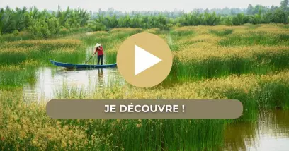 Video Les joyaux du Laos : Sérénité et reflets d'Asie au fil de l'eau