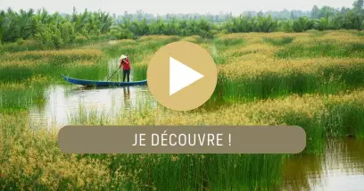 Video Au fil du fleuve Mékong en croisière du Cambodge au Vietnam