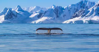 10 chiffres sur l’Antarctique (habitants, altitude, températures...)