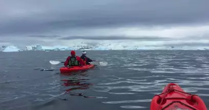 Récit d'un voyage en Antarctique