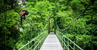 Faune et flore du Costa Rica