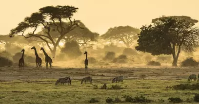 Guides de voyage en Afrique
