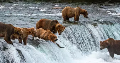 Guides de voyage en Alaska
