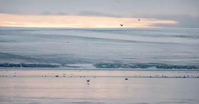 Le Spitzberg : l’île qui concentre tout l’Arctique