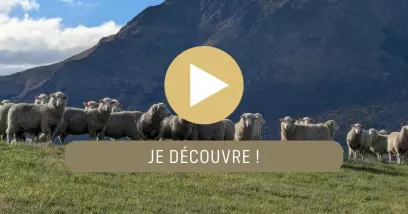Video Trésors maori : Nouvelle-Zélande & Australie