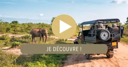 Video Croisière & Safari en Afrique Australe, Lac Kariba & Chutes Victoria