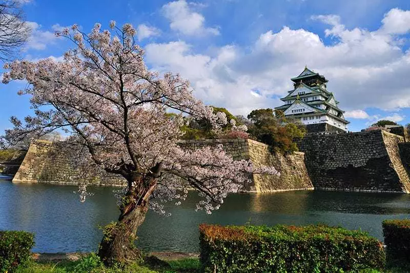 Chateau d'Osaka
