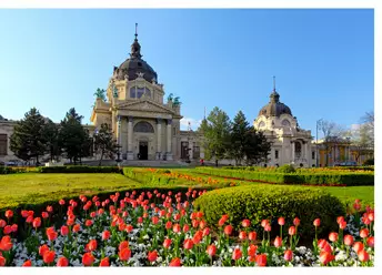 Les bains de Budapest