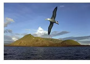 Nature aux îles Galapagos