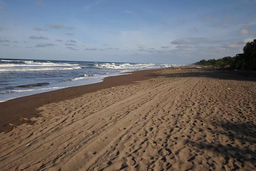 Plage de tortuguero