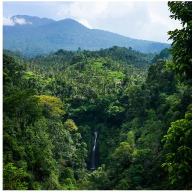 Un environnement préservé par les autorités costariciennes