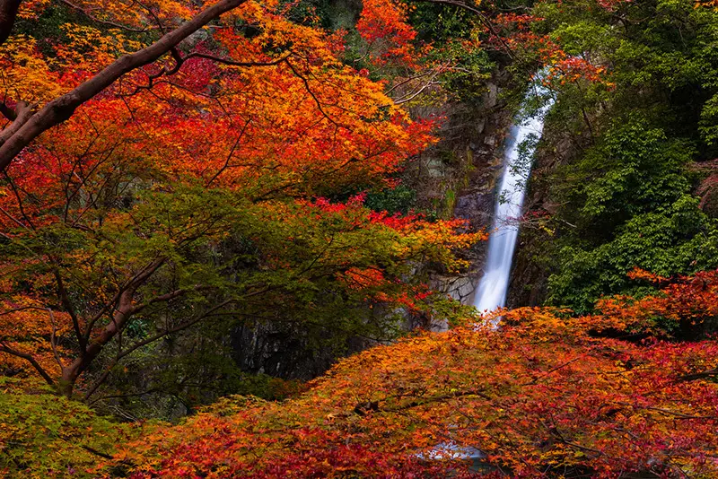 Cascade de Nunobiki