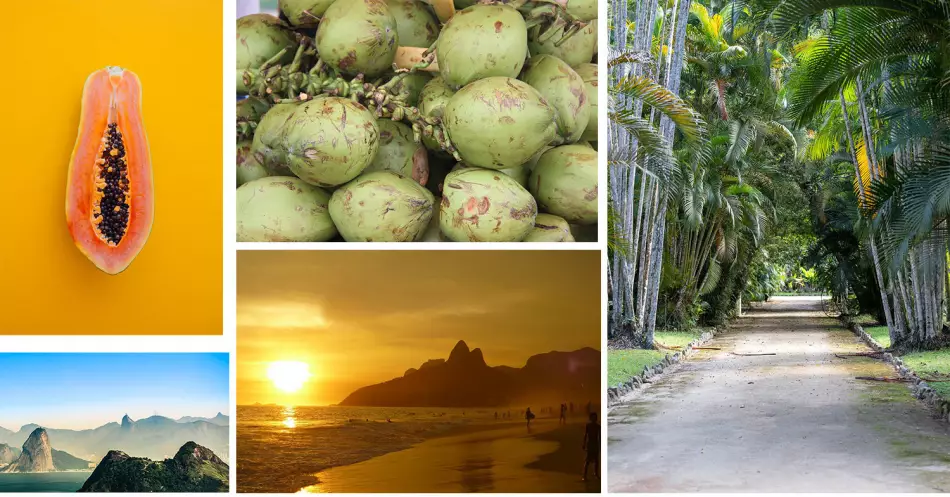 Rio de Janeiro en 5 images