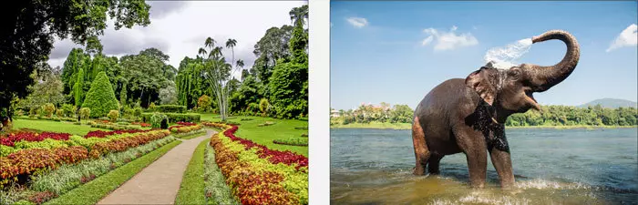 Paysages d'Inde