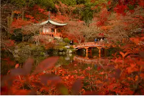 Nature luxuriante et temple japonais