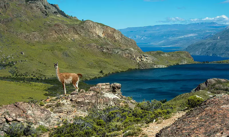 Parque Patagonia