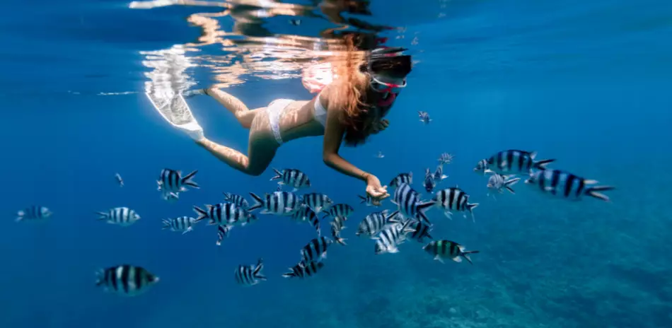 Snorkeling dans les eaux turquoises de la Polynésie Française