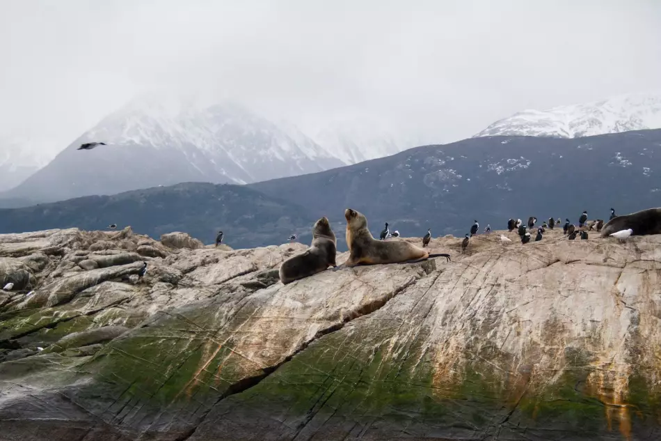 Le Canal de Beagle, un point de départ vers les fjords de Patagonie