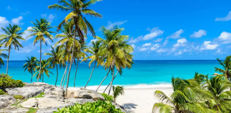 Plage des Salines, Saint-Anne, Martinique