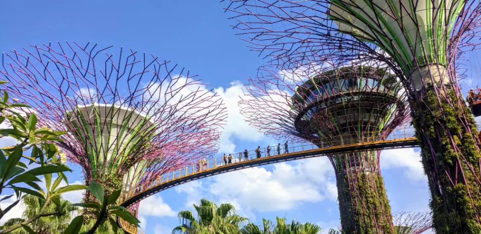 Les tours architecturales Supertree Grove, Singapour