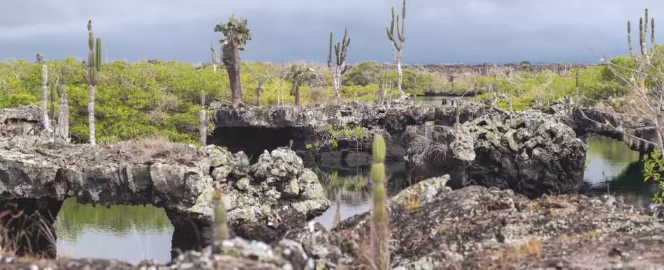 L'île Isabela et ses curiosités