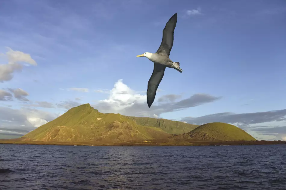 Vue sur l'île Isabela aux Galápagos