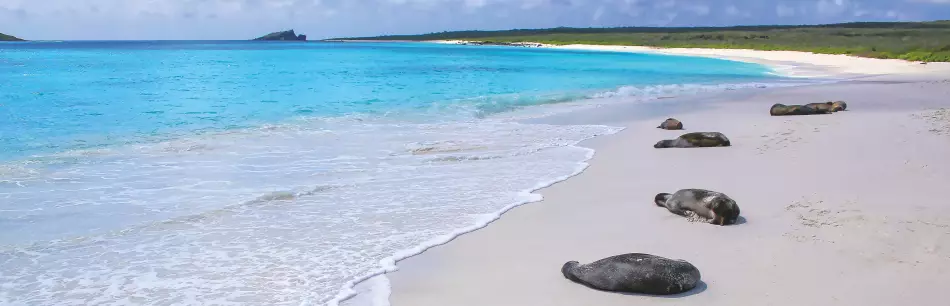 Plage de sable blanc aux Galápagos
