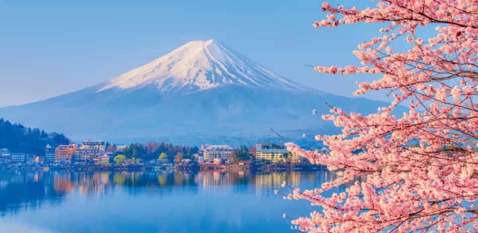 Le mont Fuji lors de la saison des cerisiers au printemps, Japon
