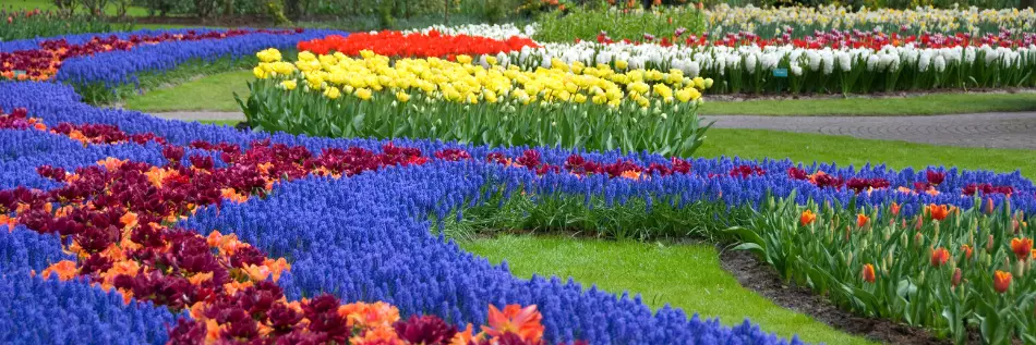 Lors du printemps, le fleuve du Rhin se découvre ou se redécouvre au fil des plus beaux jardins