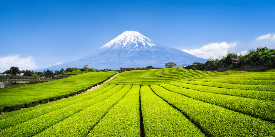 Le célèbre Mont Fuji au Japon