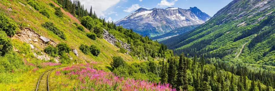 Les environs de Skagway, en Alaska.