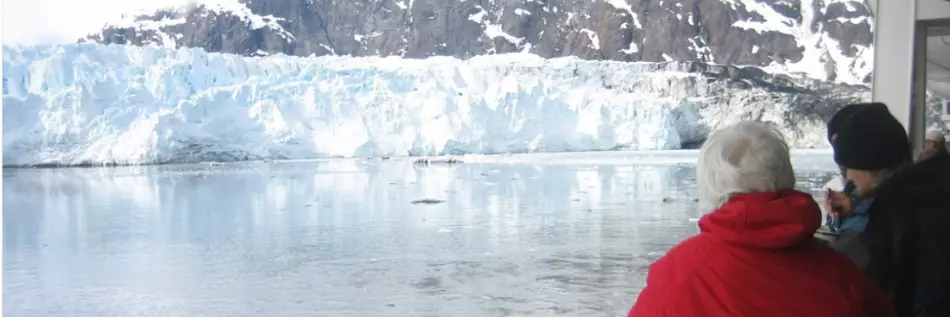 Des voyageurs à bord d'un bateau observant la flore polaire