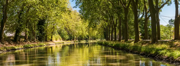 Le canal du midi arboré