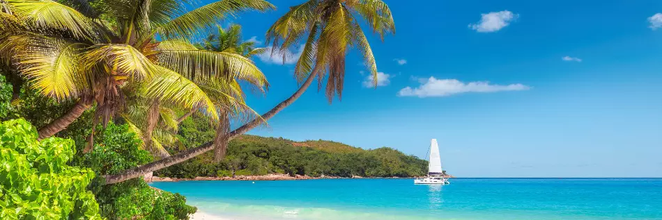 Plage de sable avec palmiers et voilier dans la mer turquoise dans l'archipel des Seychelles