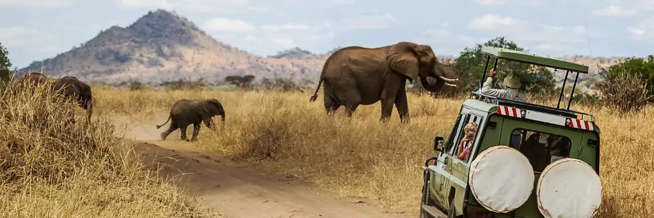 4x4 de visiteurs en safari croisant une famille d'éléphants