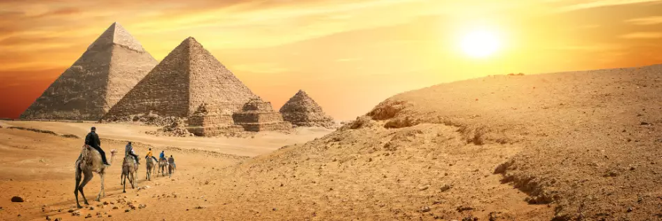 Chameaux et les pyramides de Gizeh en Egypte