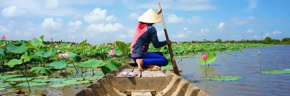 Femme ramant le bateau pour ramasser la fleur de lotus dans le delta du Mékong